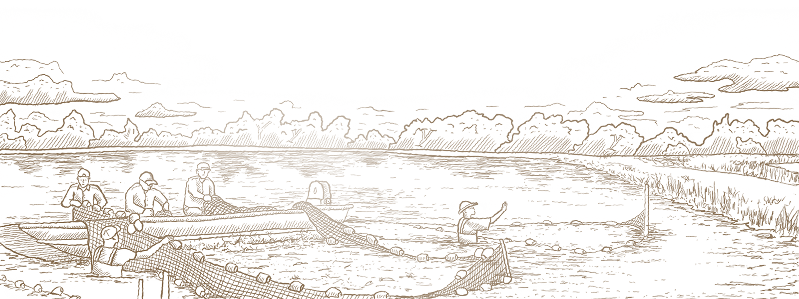 Illustration of Man Surveying Ponds